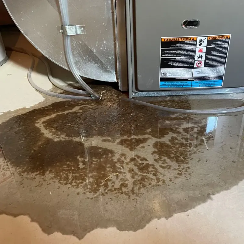 Pipe Burst and Leak Restoration in Sulphur, OK
